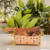 IndianArtVilla Copper Barbecue With 3 & 4 Skewer, Used for Grilling Chicken Paneer Tikka Home, Garden & Restaurant