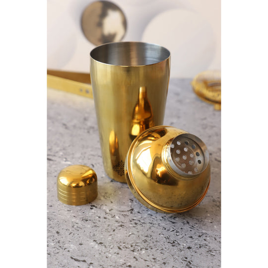 Indian Art Villa Stainless Steel Shine Finish Wine Shaker Bottle, Volume-16.90 Oz